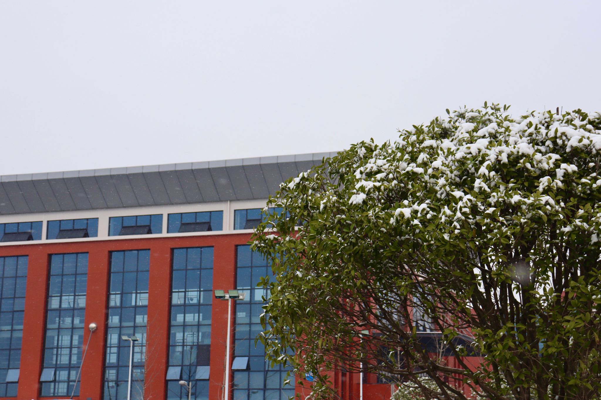 2024年安徽大学在广西录取分数线（附近几年最低位次排名）(图1)