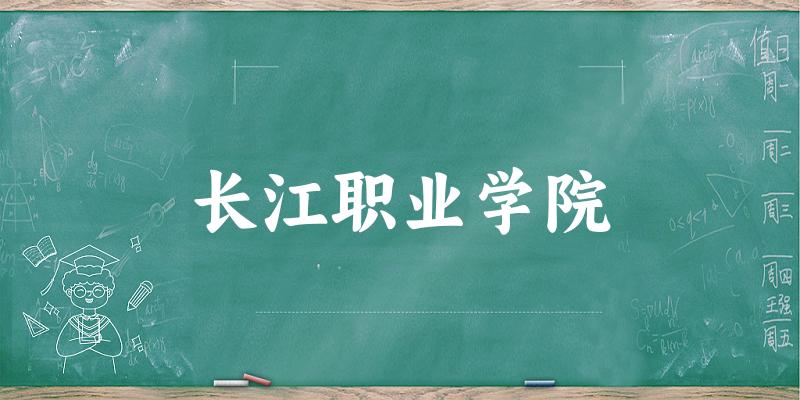 长江职业学院2025年全国各省录取分数线与位次排名汇总