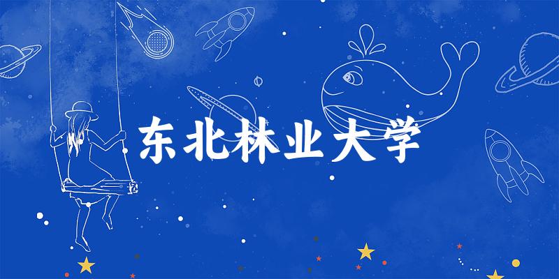 2025东北林业大学在新疆招生计划及录取分数线位次分析(图1)
