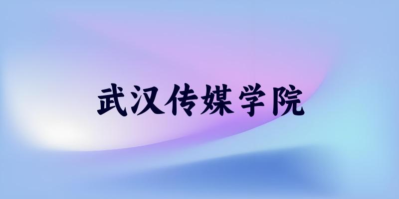 武汉传媒学院2025各省录取分数线汇总:最低150分可录取(图1) 武汉传媒学院2025各省录取分数线汇总