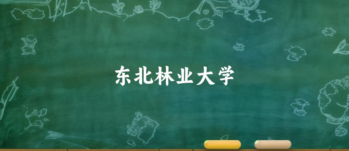 东北林业大学2025年各批次录取分数线概览：最低354分可录取，较上年降低49分(图1)